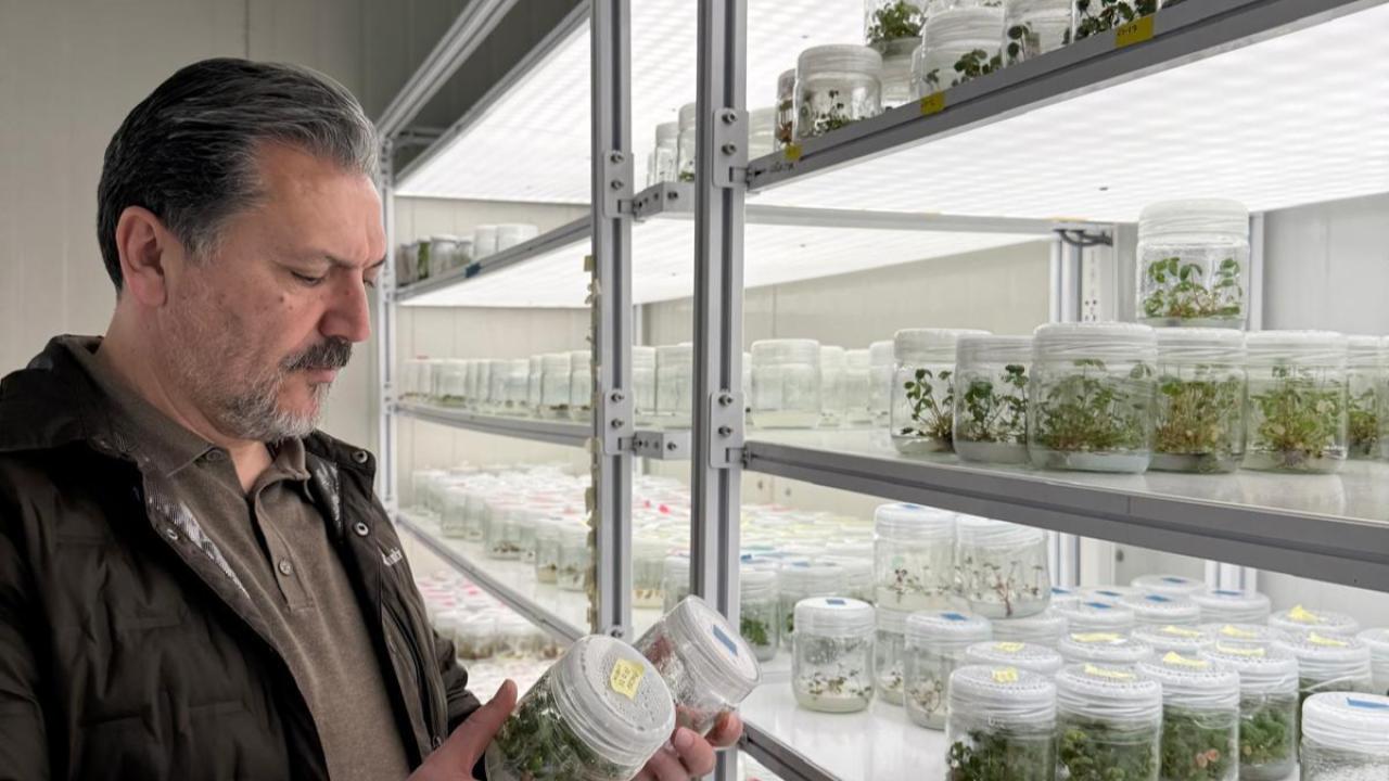 HOLLANDA’DAN KAYSERİ’YE TARIM VİZYONU: ALİ KÖKLÜ ANADOLU TOPRAKLARI İÇİN ÇALIŞIYOR