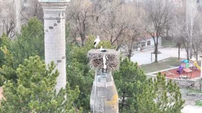 BAHARIN MÜJDECİSİ LEYLEKLER YUVALARINA DÖNDÜ