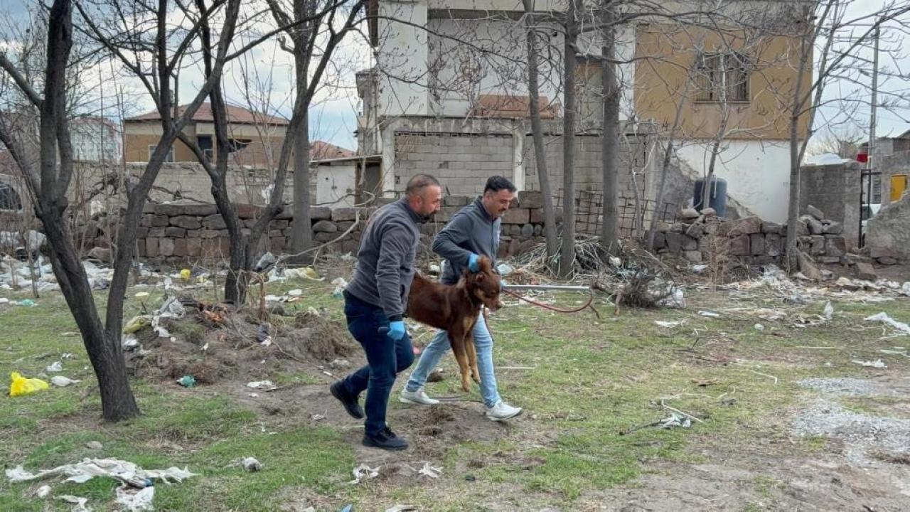 SALDIRGAN KÖPEĞİN RESMÎ OLMAYAN SAHİBİ ORTAYA ÇIKTI