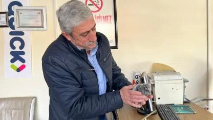 ÇATIDAN DÜŞEN KUŞ, YUVASINA KAVUŞTURULDU