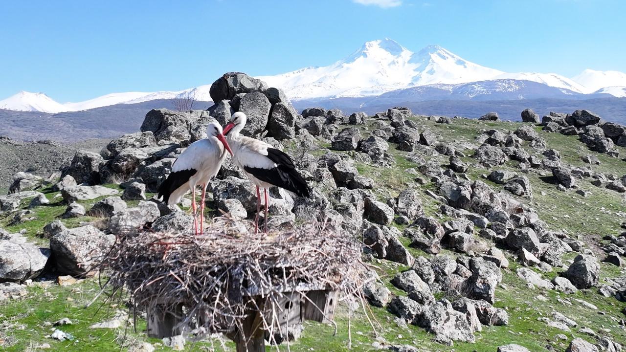 DOĞANIN UYANIŞI, HÜRMETÇİ SAZLIĞI'NDA SAHNELENİYOR