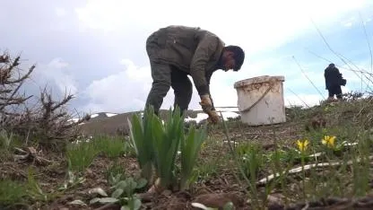 KÖYLÜLERİN GEÇİM KAYNAĞI OLDU