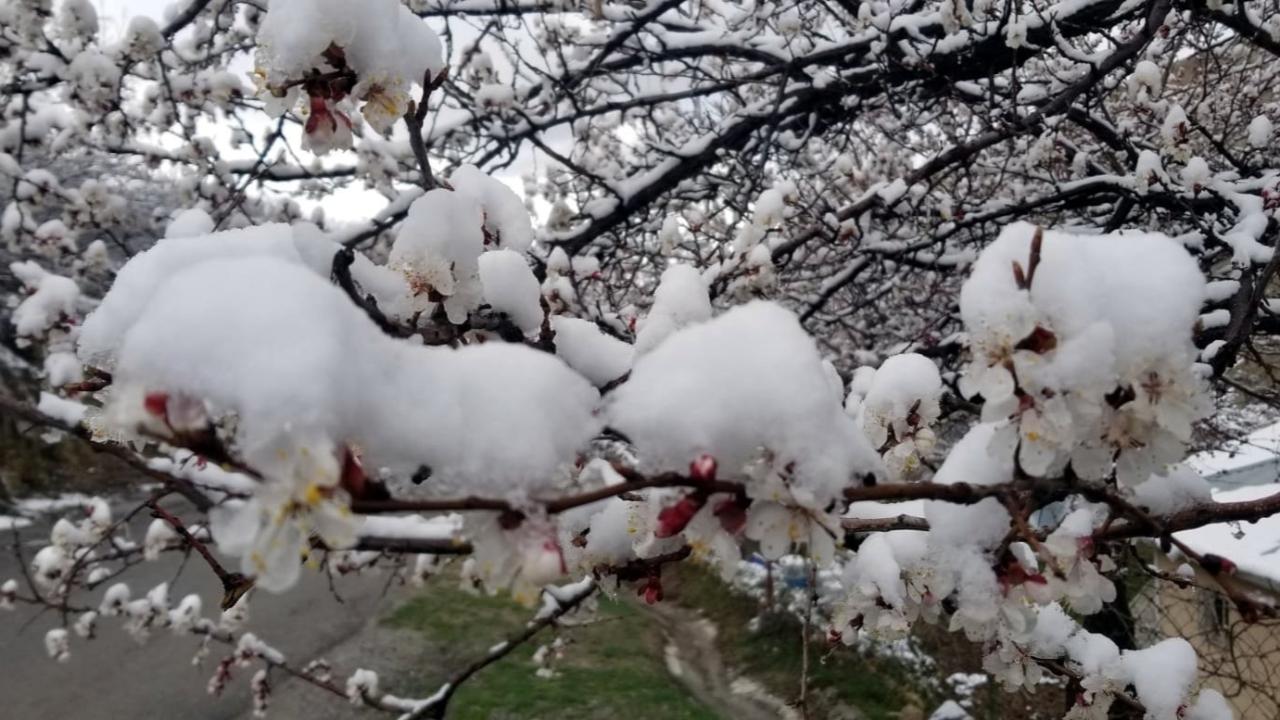 MART SONRASI NİSAN ŞOKU