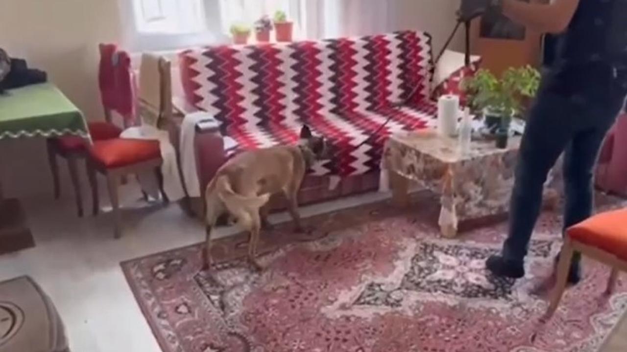 SİLAH TACİRLERİNE OPERASYON