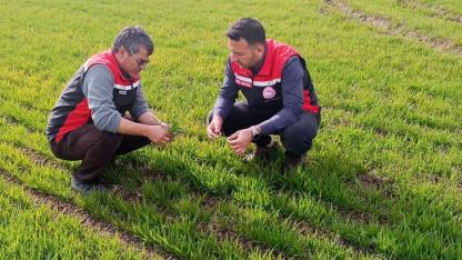 TOMARZA'DA SAHA KONTROLLERİ DEVAM EDİYOR
