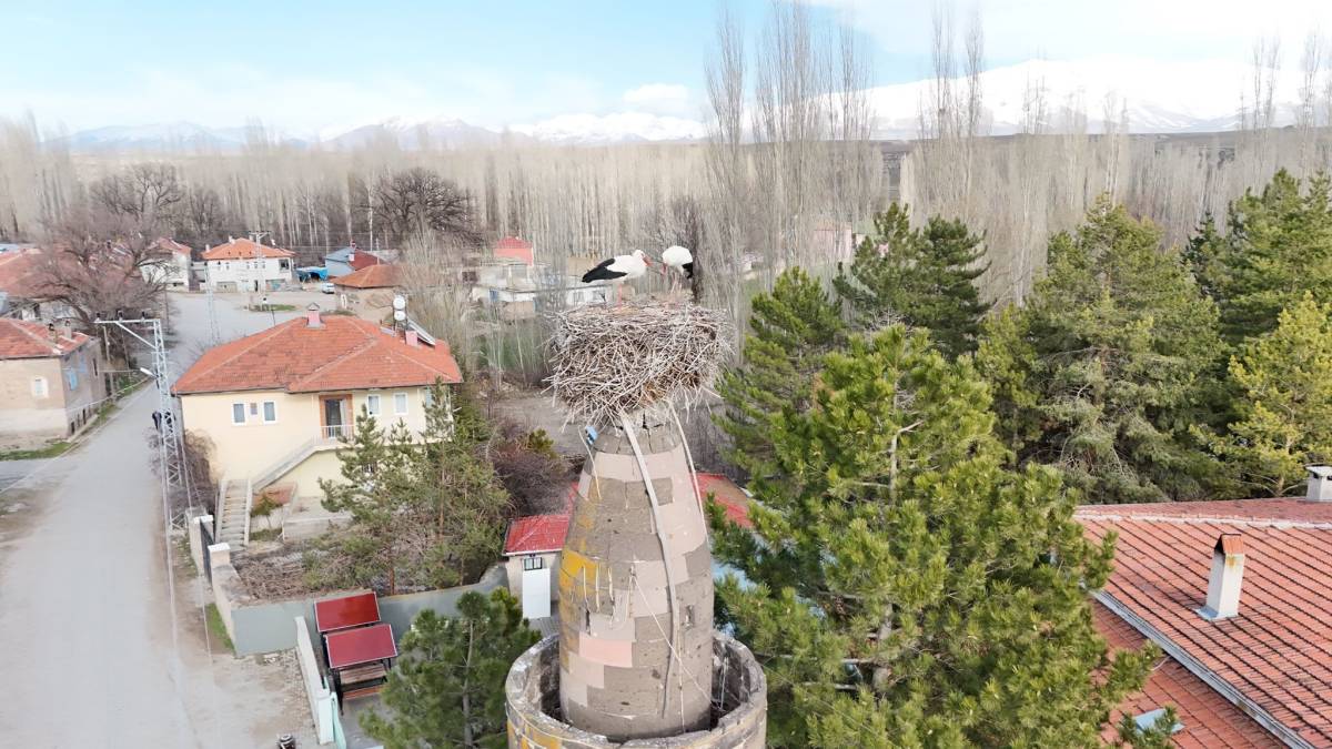 BAHARIN MÜJDECİSİ LEYLEKLER YUVALARINA DÖNDÜ