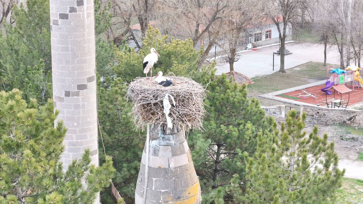 BAHARIN MÜJDECİSİ LEYLEKLER YUVALARINA DÖNDÜ
