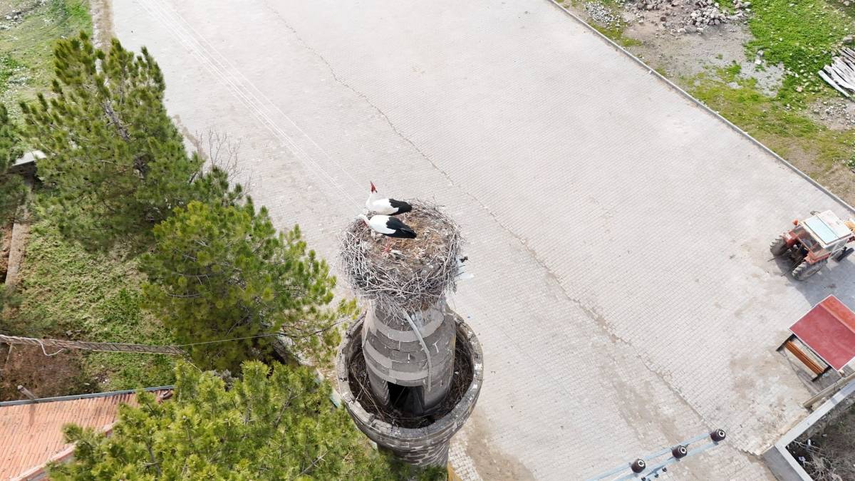 BAHARIN MÜJDECİSİ LEYLEKLER YUVALARINA DÖNDÜ