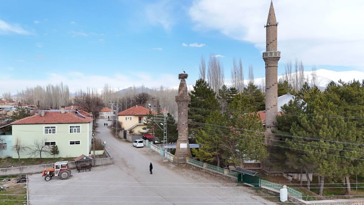 BAHARIN MÜJDECİSİ LEYLEKLER YUVALARINA DÖNDÜ