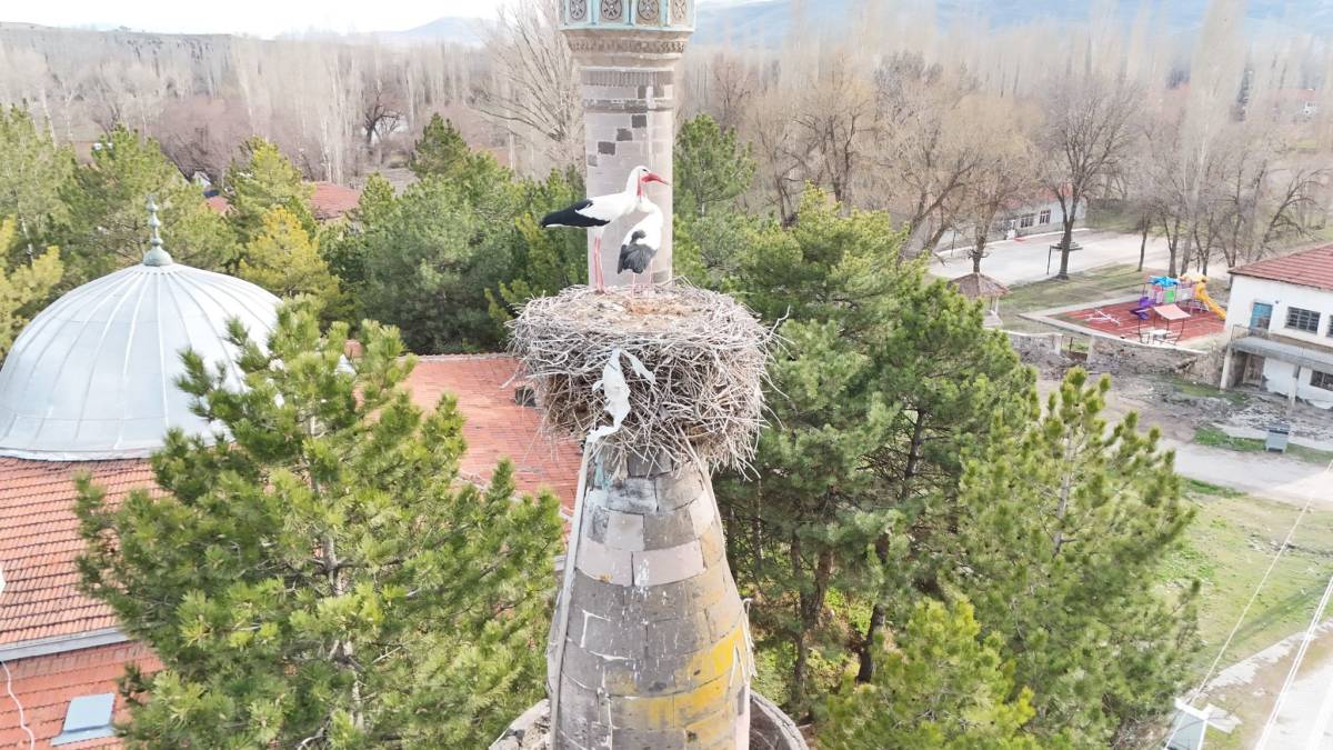 BAHARIN MÜJDECİSİ LEYLEKLER YUVALARINA DÖNDÜ