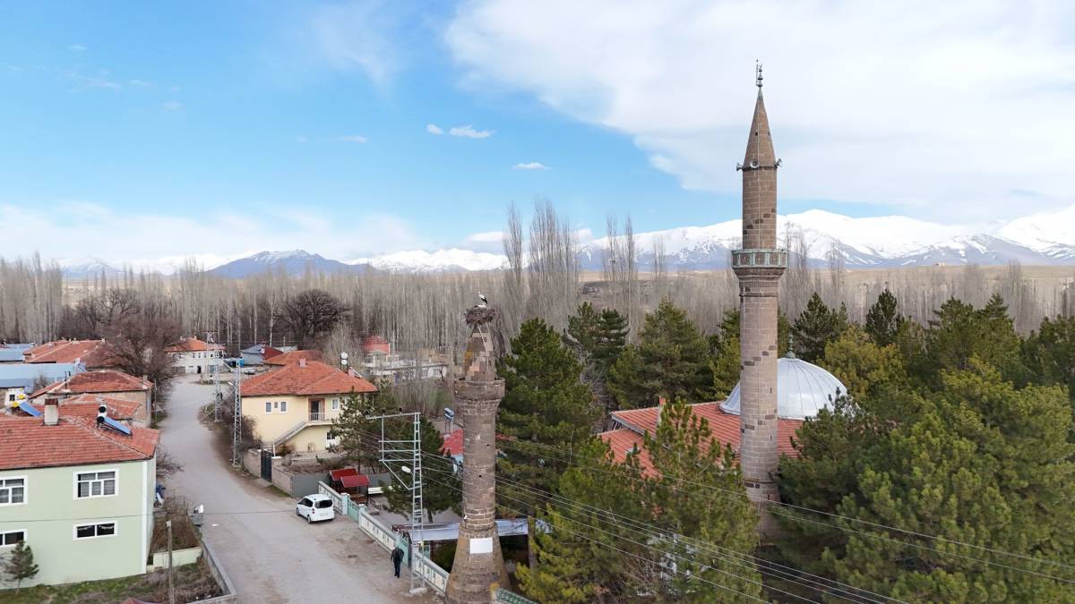 BAHARIN MÜJDECİSİ LEYLEKLER YUVALARINA DÖNDÜ