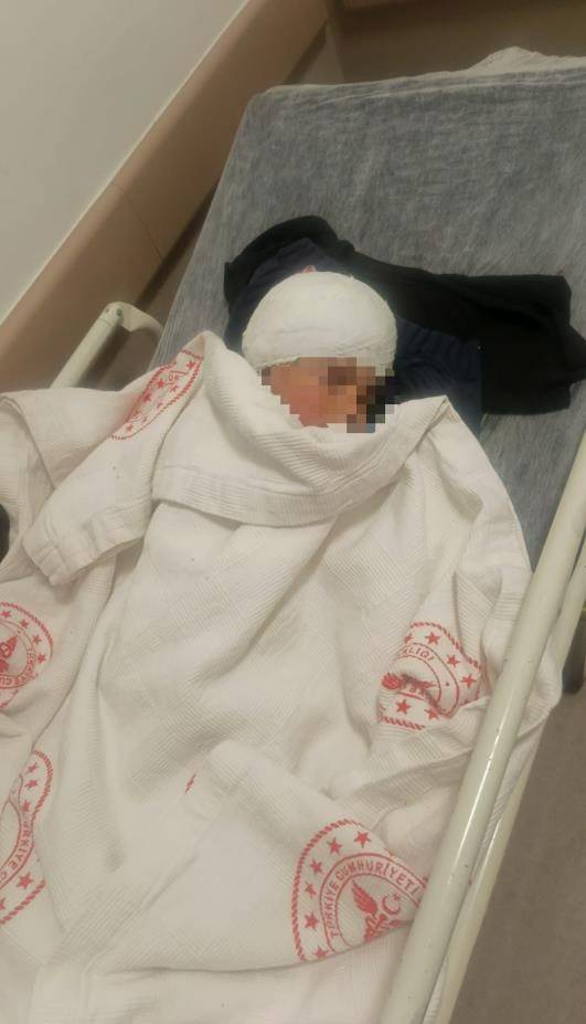 SALDIRGAN KÖPEĞİN RESMÎ OLMAYAN SAHİBİ ORTAYA ÇIKTI