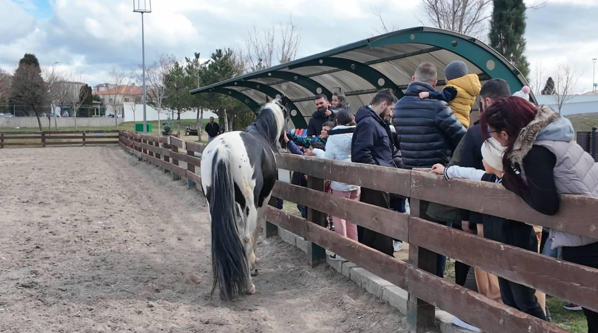 HAYVANAT BAHÇESİ BAYRAMDA DOLDU TAŞTI