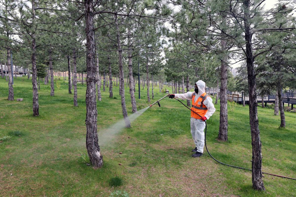 TALAS’TA HAŞERATLA MÜCADELE SEFERBERLİĞİ BAŞLADI