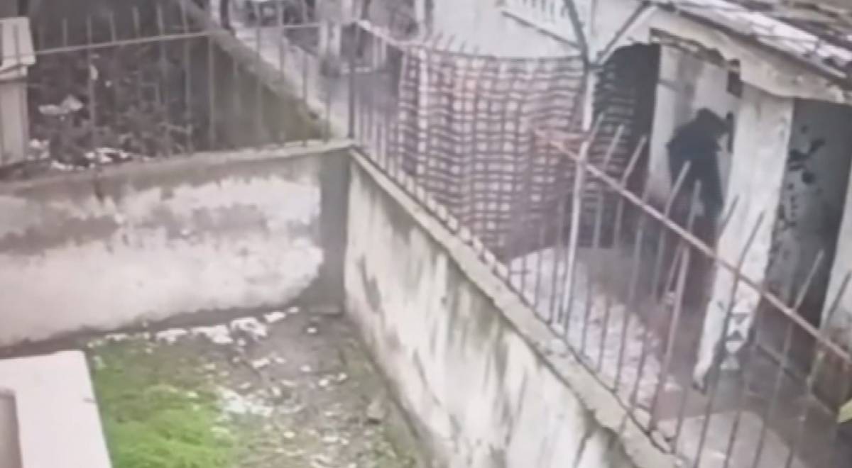 EV FARELERİ YAKALANDI