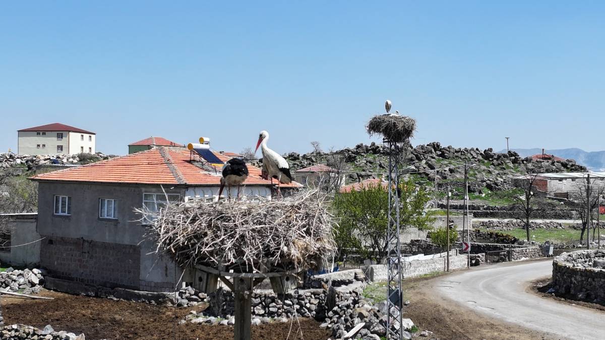 DOĞANIN UYANIŞI, HÜRMETÇİ SAZLIĞI'NDA SAHNELENİYOR
