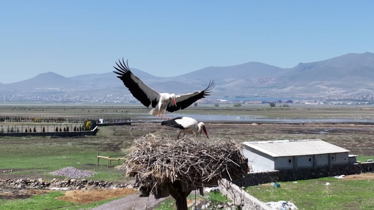 DOĞANIN UYANIŞI, HÜRMETÇİ SAZLIĞI'NDA SAHNELENİYOR