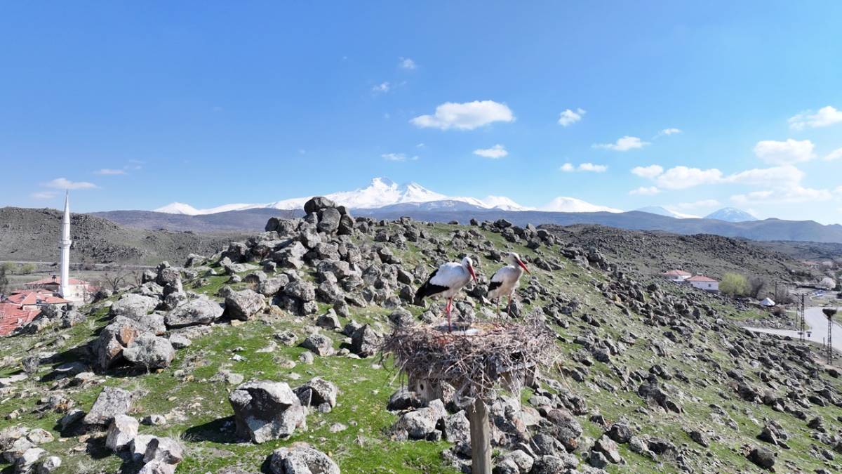 DOĞANIN UYANIŞI, HÜRMETÇİ SAZLIĞI'NDA SAHNELENİYOR