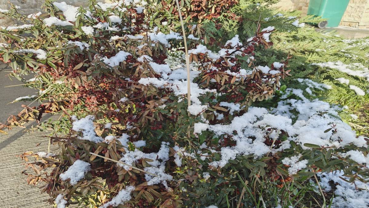 KAYSERİ'YE NİSAN AYINDA KAR YAĞDI