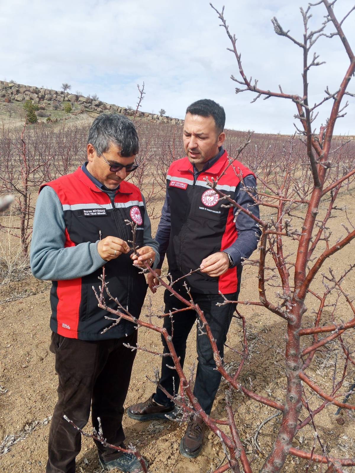 TOMARZA'DA SAHA KONTROLLERİ DEVAM EDİYOR