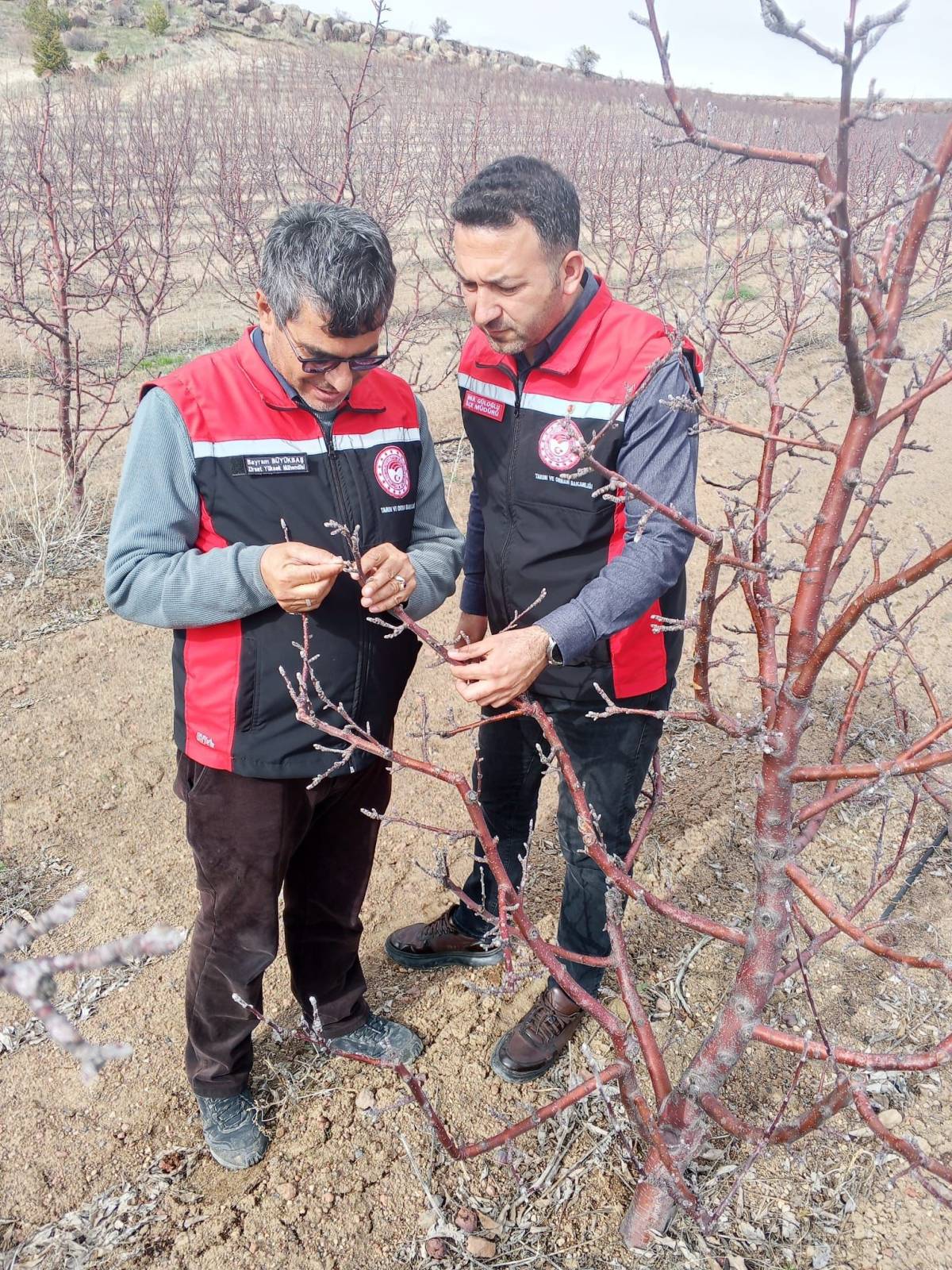 TOMARZA'DA SAHA KONTROLLERİ DEVAM EDİYOR