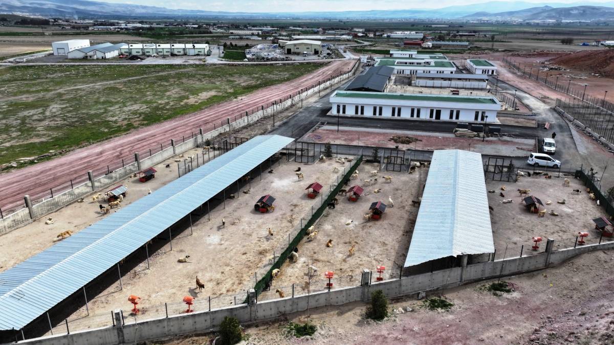 SOKAK HAYVANLARINA 25 BİN METREKARELİK EN  KAPSAMLI MODERN YAŞAM ALANI