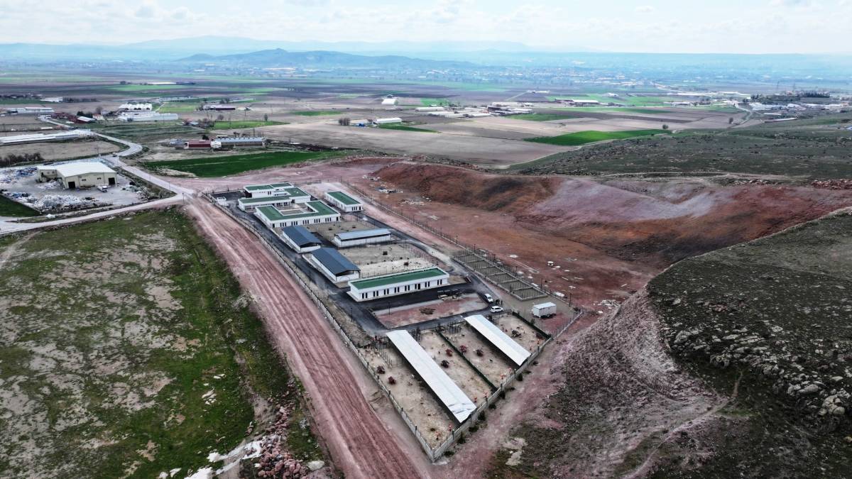 SOKAK HAYVANLARINA 25 BİN METREKARELİK EN  KAPSAMLI MODERN YAŞAM ALANI