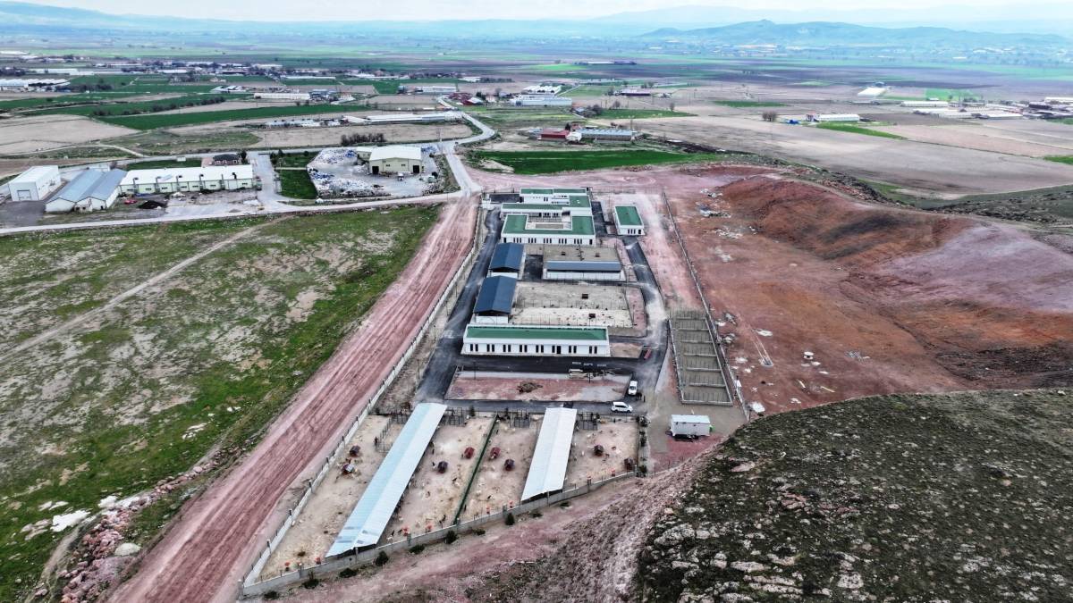 SOKAK HAYVANLARINA 25 BİN METREKARELİK EN  KAPSAMLI MODERN YAŞAM ALANI