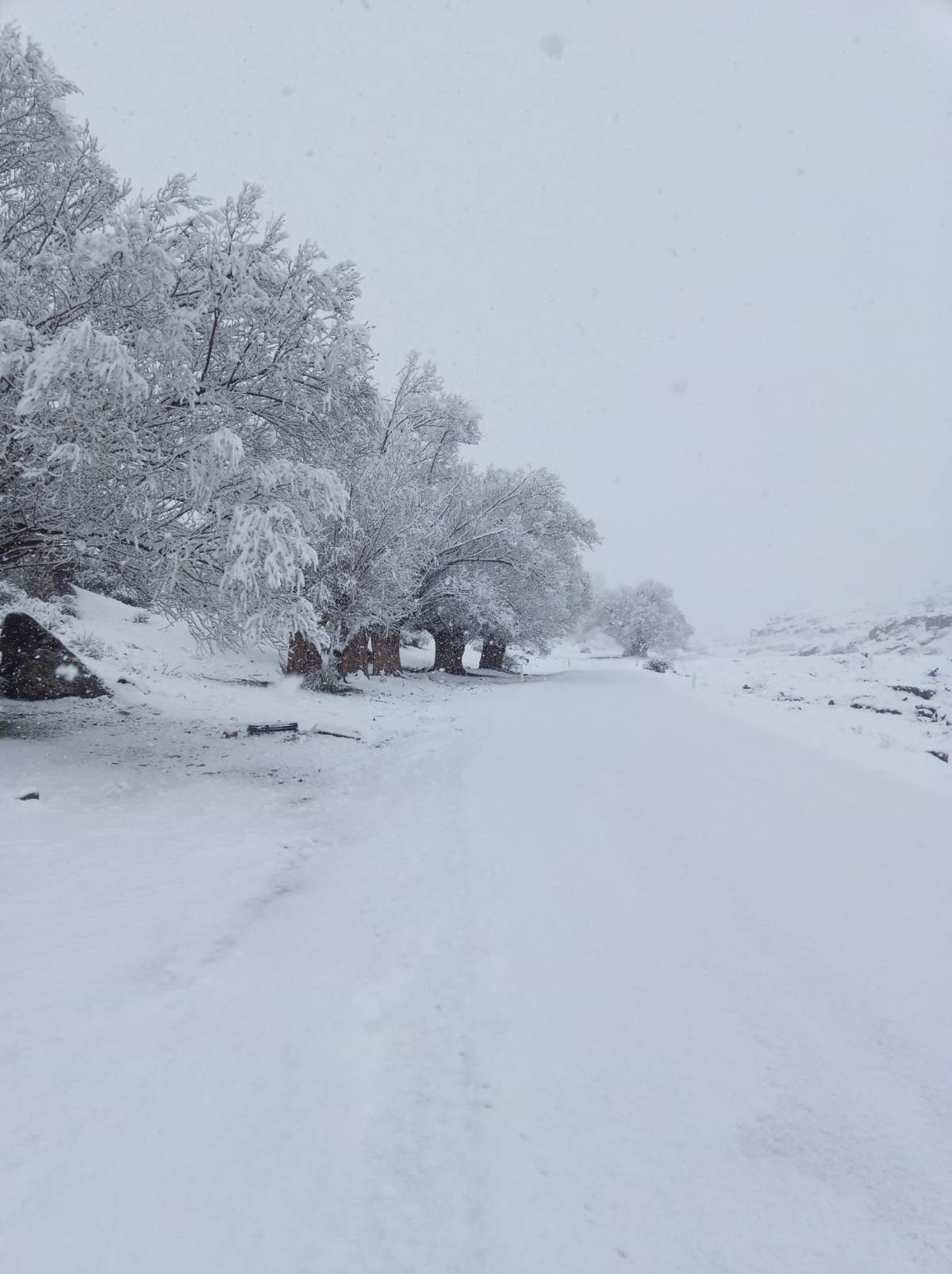 MAHALLE BEYAZA BÜRÜDÜ