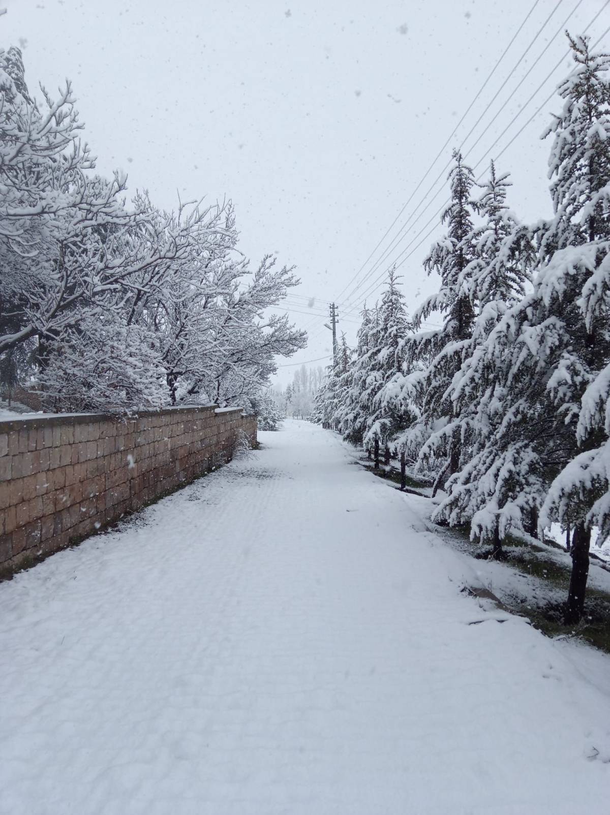 MAHALLE BEYAZA BÜRÜDÜ