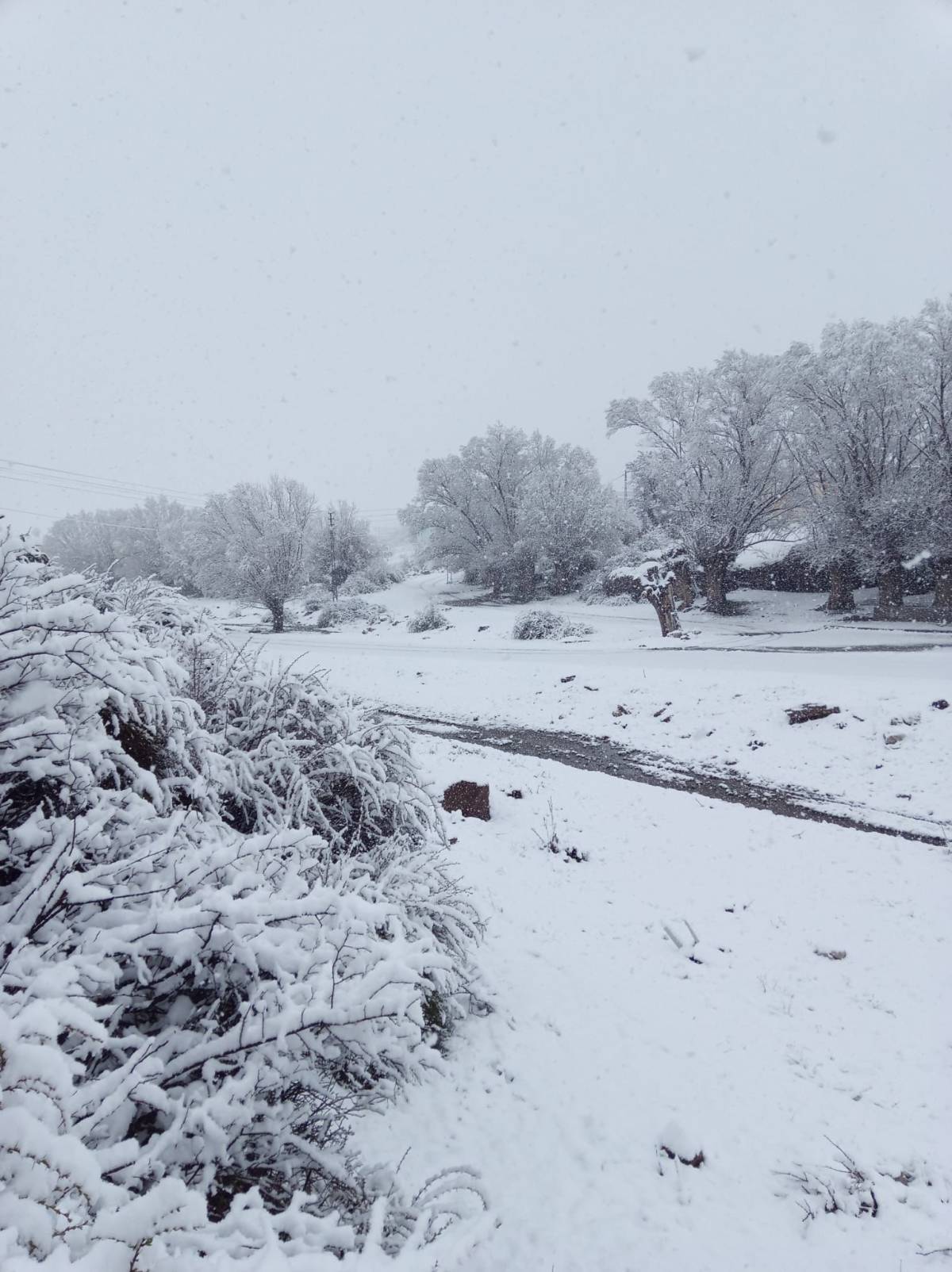 MAHALLE BEYAZA BÜRÜDÜ