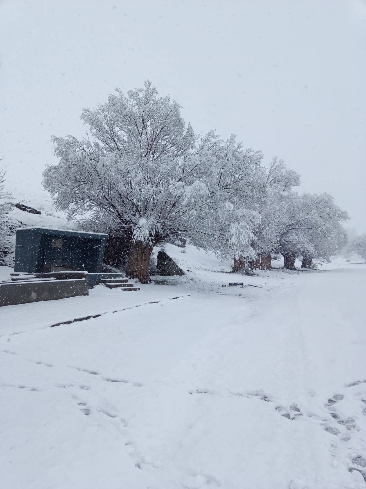 MAHALLE BEYAZA BÜRÜDÜ