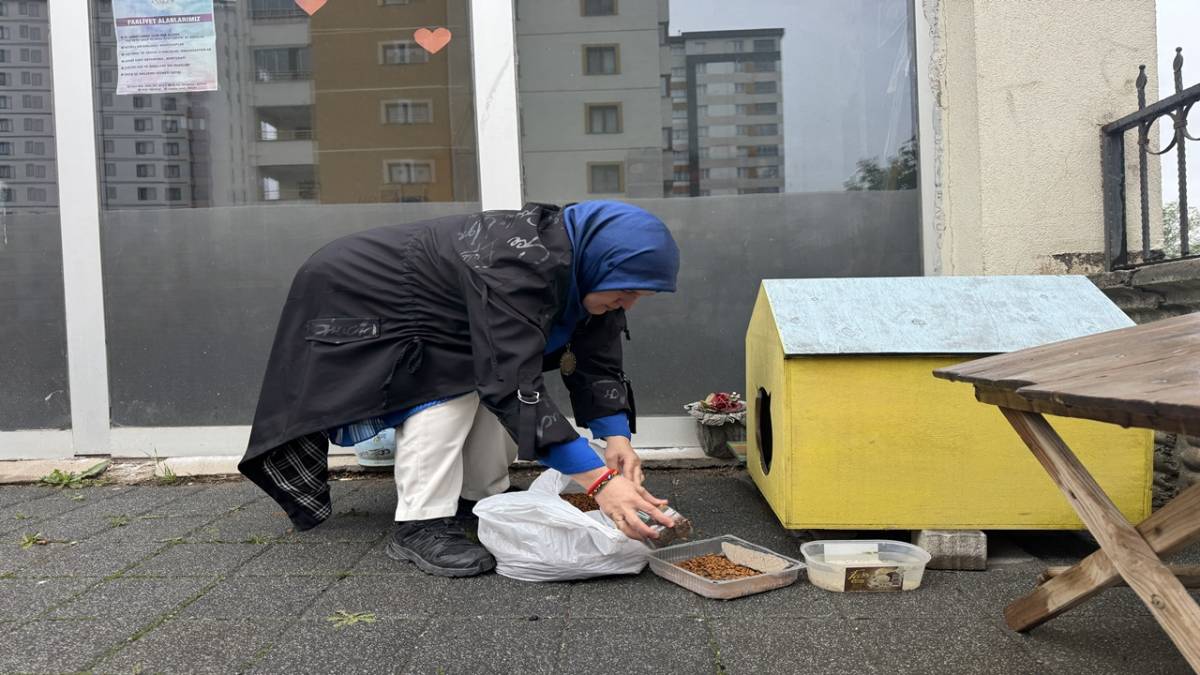 ŞEHİR MERKEZİNE İNEN TİLKİ KİMSEYE ALDIRIŞ ETMEDEN KARNINI DOYURDU