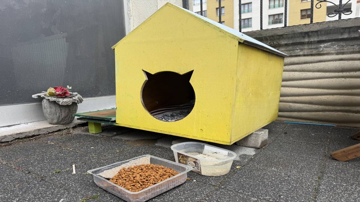 ŞEHİR MERKEZİNE İNEN TİLKİ KİMSEYE ALDIRIŞ ETMEDEN KARNINI DOYURDU