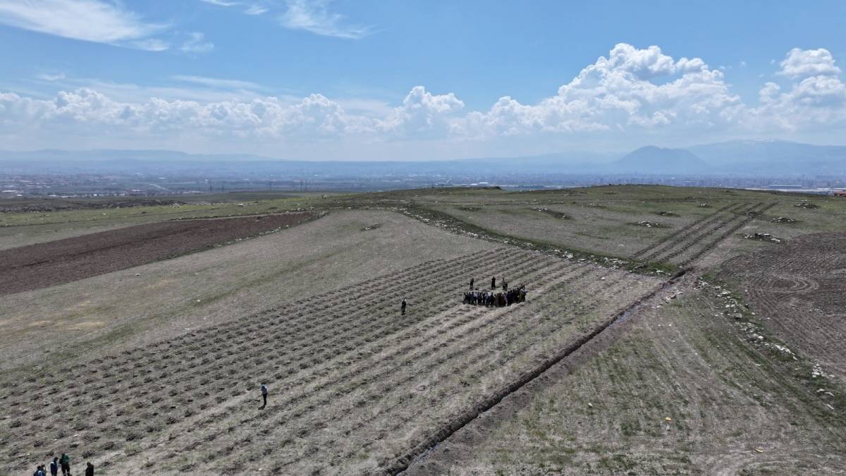 KOCASİNAN, YEŞİL HAMLE İLE GELECEĞE NEFES OLUYOR