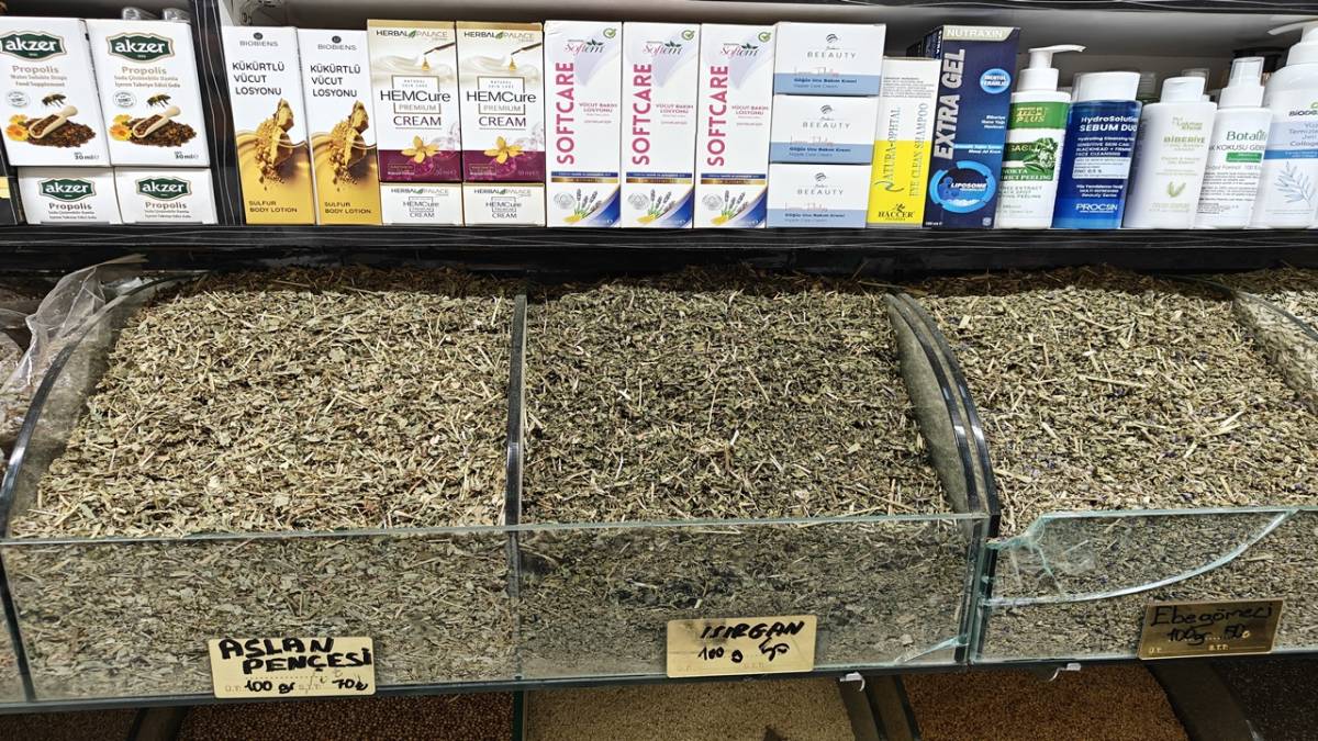 BAHARIN İLACI 'ZENCEFİL'