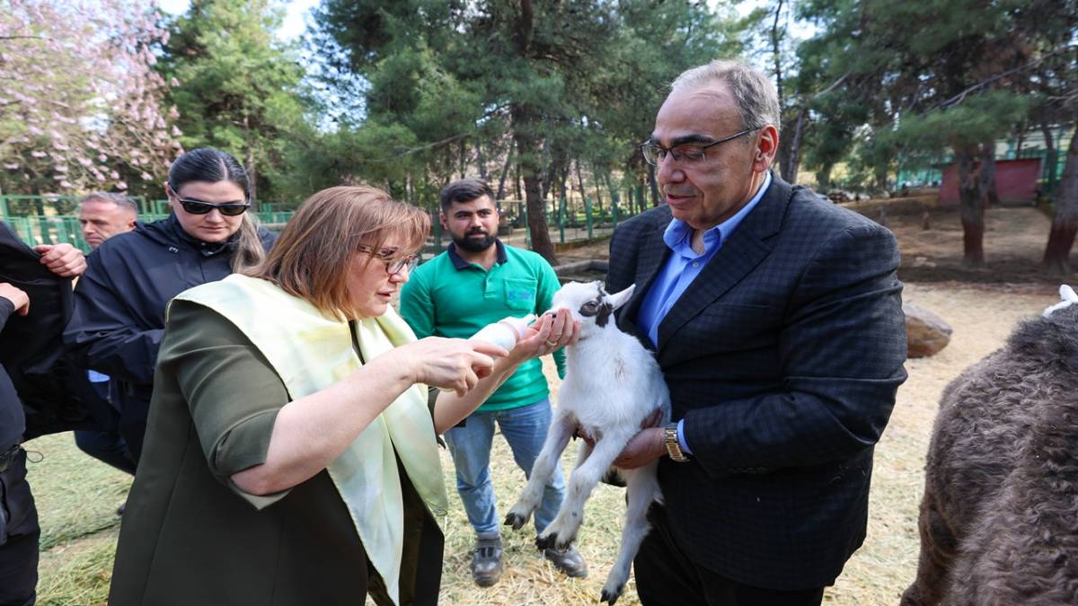 YAVRU ZÜRAFA BABASINI GÖREMEDİ