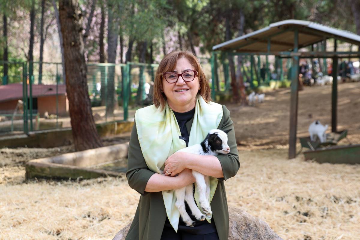 YAVRU ZÜRAFA BABASINI GÖREMEDİ