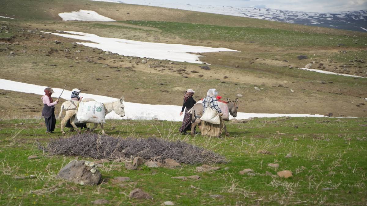 KÖYLÜLERİN GEÇİM KAYNAĞI OLDU