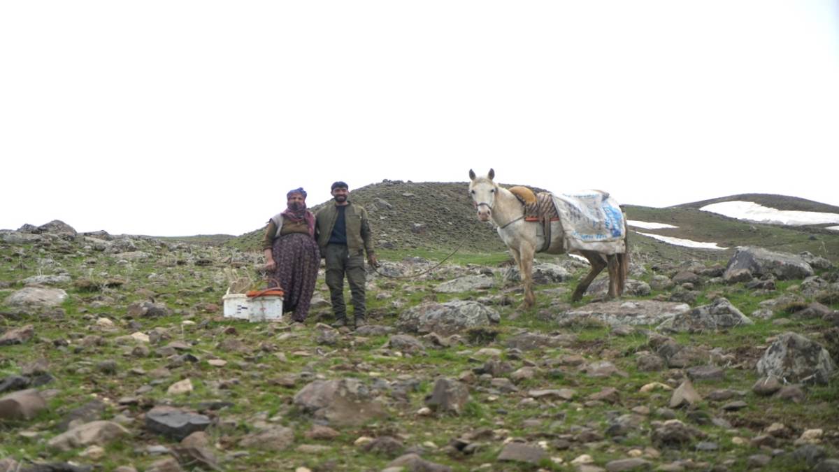 KÖYLÜLERİN GEÇİM KAYNAĞI OLDU