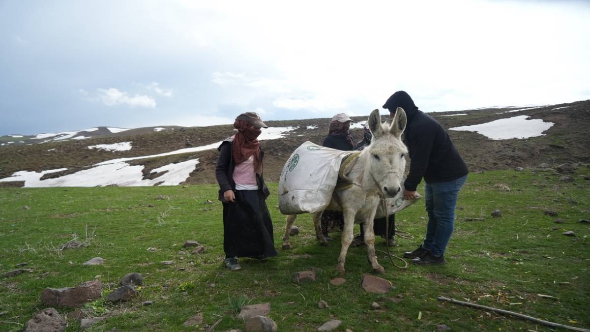 KÖYLÜLERİN GEÇİM KAYNAĞI OLDU