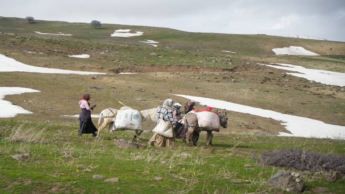 KÖYLÜLERİN GEÇİM KAYNAĞI OLDU