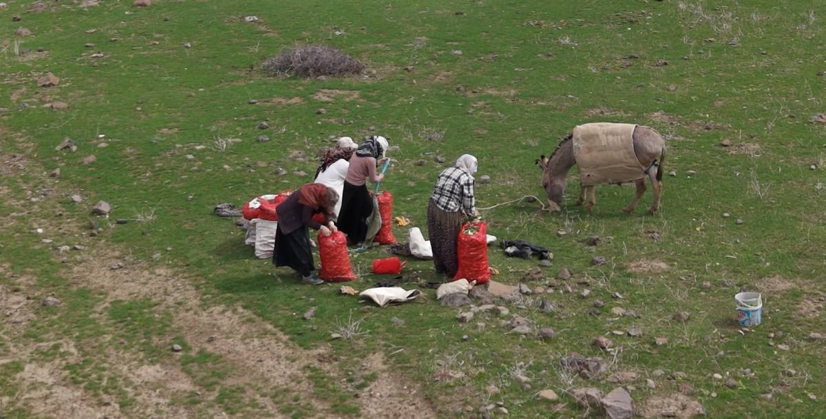 KÖYLÜLERİN GEÇİM KAYNAĞI OLDU