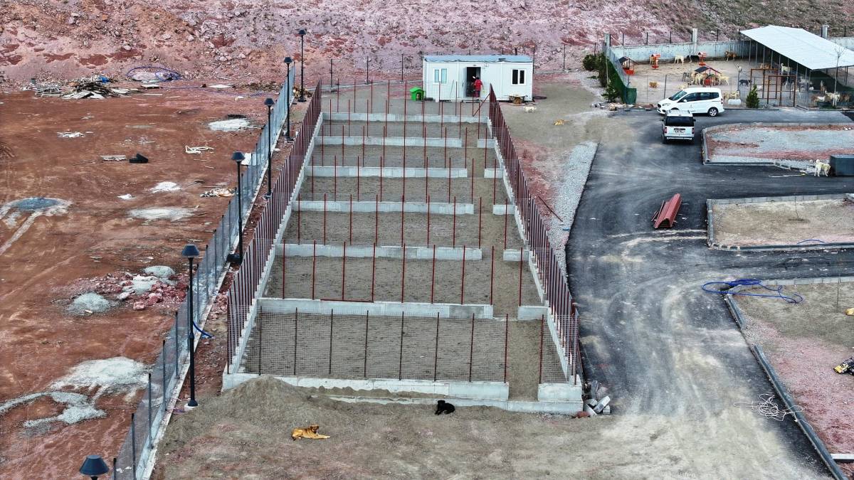 SOKAK HAYVANLARINA 25 BİN METREKARELİK EN  KAPSAMLI MODERN YAŞAM ALANI