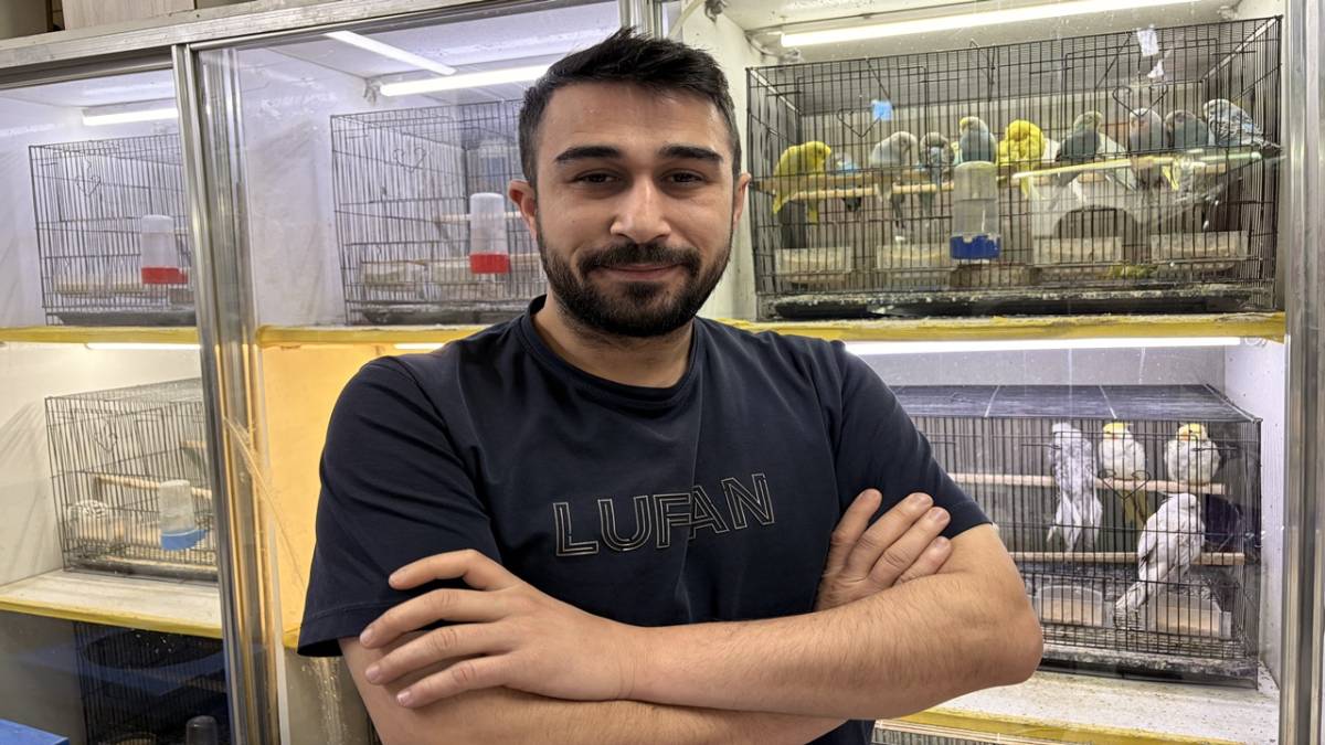 TEKNOLOJİ BAĞIMLILIĞINA KARŞI EVCİL HAYVAN ÖNERİSİ